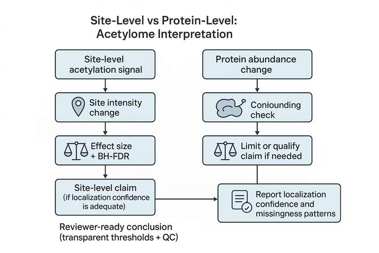 Advancements in Protein lipidation Research